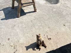 -哈尔滨北方森林动物园