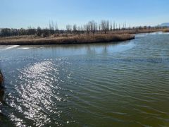 -野鸭湖国家湿地公园