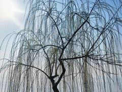 -东湖生态旅游风景区