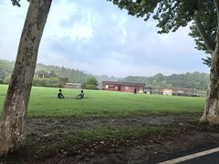 -宜兴龙背山森林公园