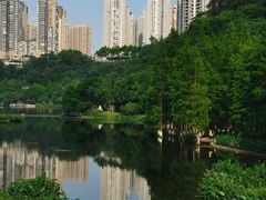 -重庆彩云湖湿地公园