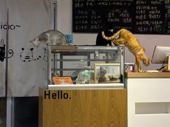 -Heymao猫咖.咖啡厅(东门店)