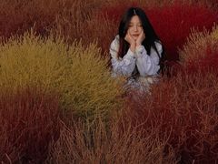 -映月湖中央公园
