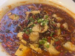 -老板恋上鱼(恒隆广场店)