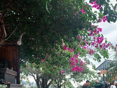 -海韵人家.海景花园经典云南菜(双廊店)