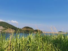-长沙黑麋峰国家森林公园
