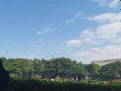 -白鹭洲公园