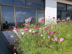 -格桑花餐厅·炭火烤羊腿(丰宁坝上草原店)