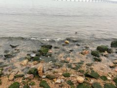 -星海广场