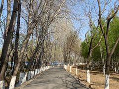 -东郊湿地公园