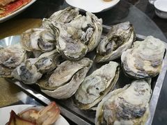 生蚝-蚝专家(北滘店)