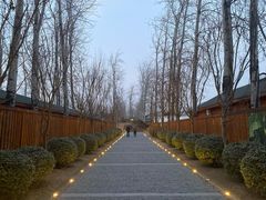 -禧宴Joyous Restaurant(禧园店)