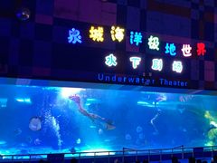 -泉城欧乐堡海洋极地世界