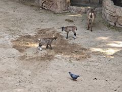 -长鹿旅游休博园