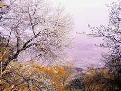 -天津盘山风景名胜区