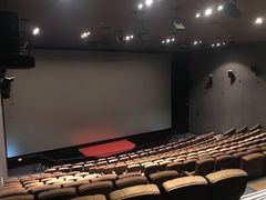 -萧山德纳MAX影城