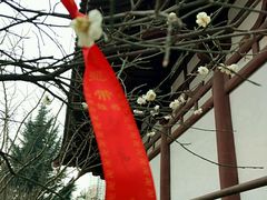 -西安青龙寺遗址景区