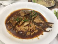 -苏启渔港(云南北路店)