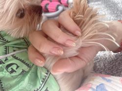 -L Nail轻奢美甲美睫