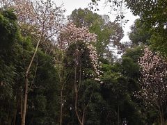 -贵州沾水米线(学田湾店)