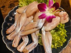 -Xiao Long Kan Hotpot Sydney 小龙坎老火锅