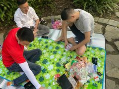 -铁山坪森林公园