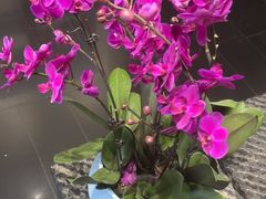 -黔蘑菇四季餐厅(观山湖店)