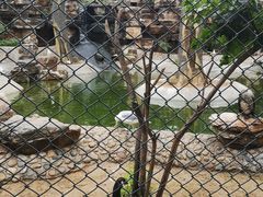 -石家庄市动物园