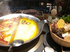 -湊湊火锅·茶憩(石家庄万象城店)