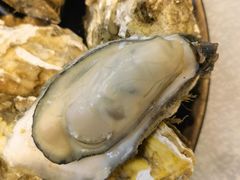 桑拿蠔-天宝食坊·啫啫煲大排档(西华路店)