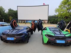 -枫花园汽车电影院(朝阳公园店)