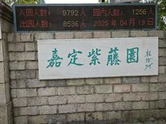 -嘉定紫藤园
