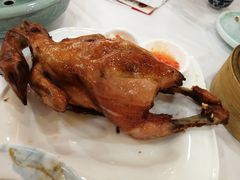 -和乐喜点(宝岗大道店)