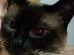 -联合动物医院(光谷诊疗中心)