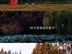 -大宁公园