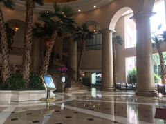 -圣爵菲斯大酒店(长沙世界之窗店)