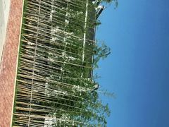 -婺源梦里老家大型山水实景演出