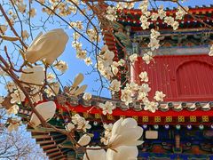-北京艺术博物馆(万寿寺)