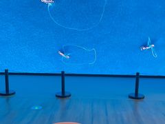 -中国湿地博物馆