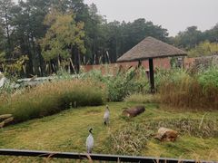 -武汉动物园