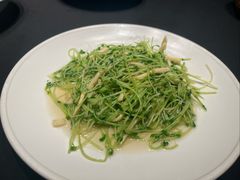 上汤豆苗-玖味(老工人西路店)
