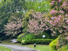 -桃花岛景观公园