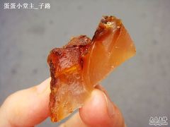 -上海牛羊肉公司塘沽路清真门市部