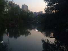 -西苑公园