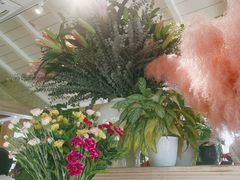-春暖花开(西溪店)
