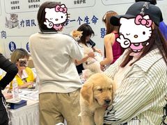 -南宁国际会展中心