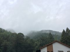 -WILDS 野有食(碧坞店)