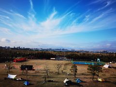 -春花秋色城市公园