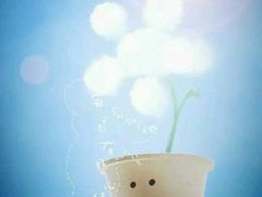 -百富烤霸 烤鸡汉堡(美美店)