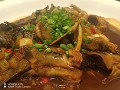 -四季春